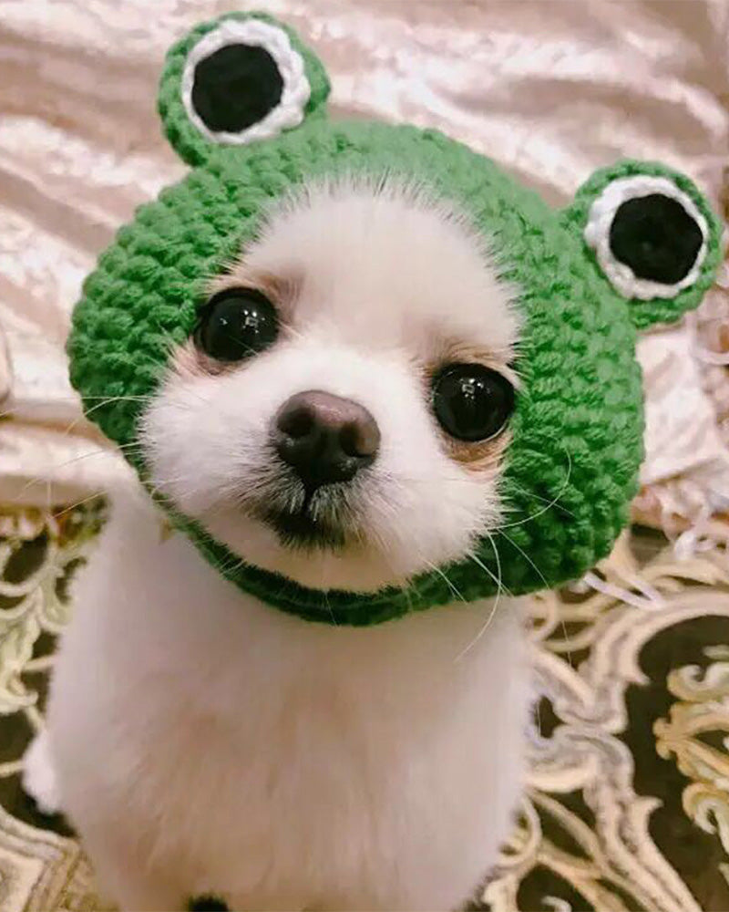 Knitted Pet Frog Hat – Frogit store
