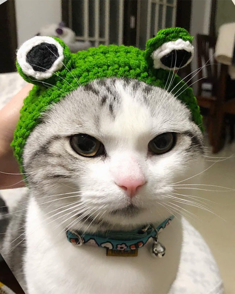 Knitted Pet Frog Hat 