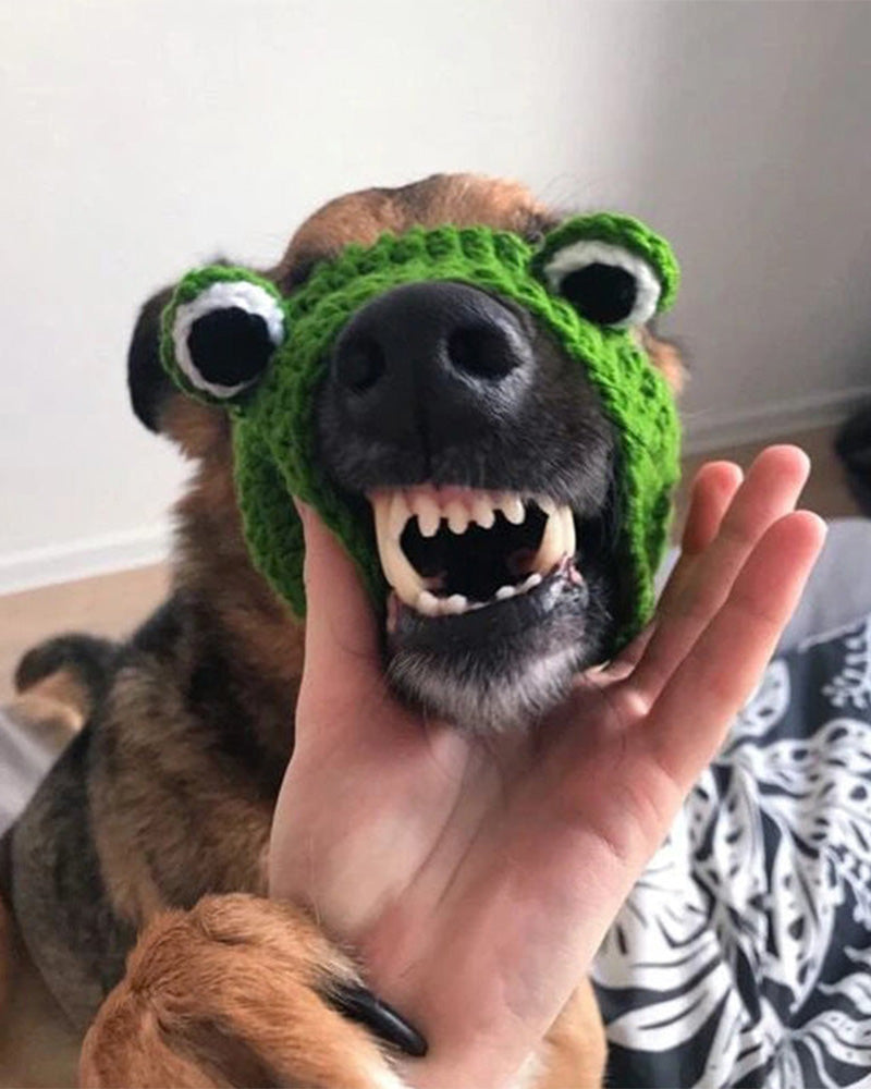 Knitted Pet Frog Hat 