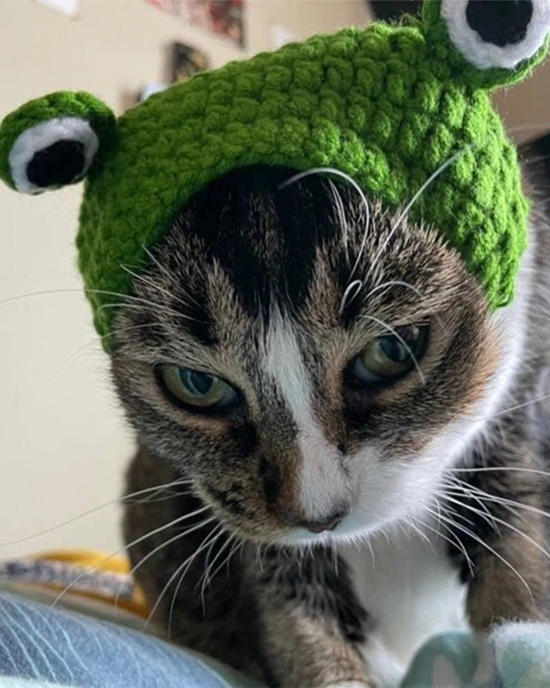 Knitted Pet Frog Hat 