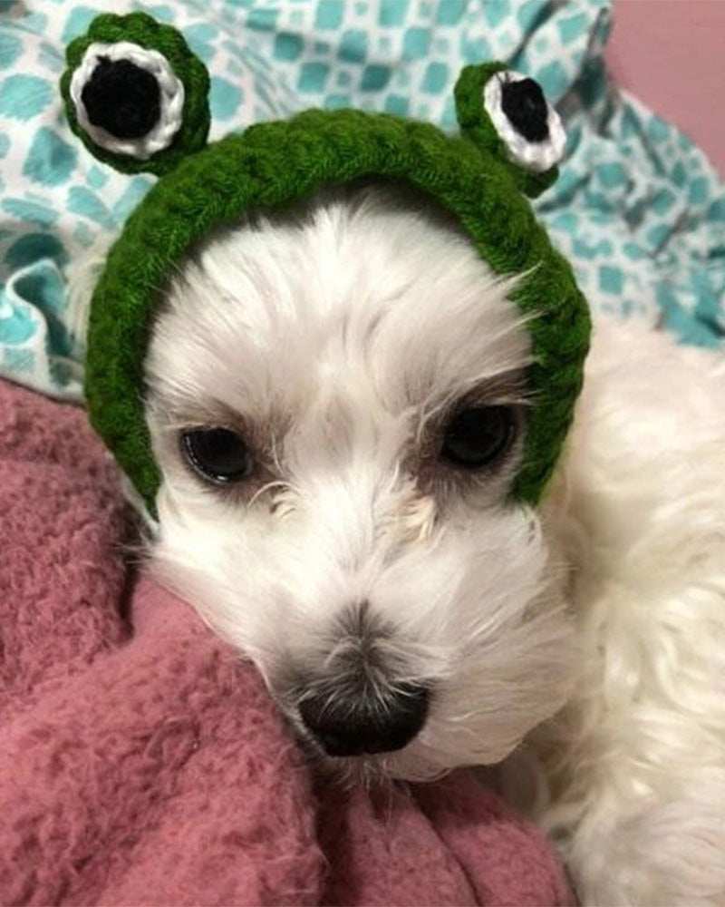 Knitted Pet Frog Hat 