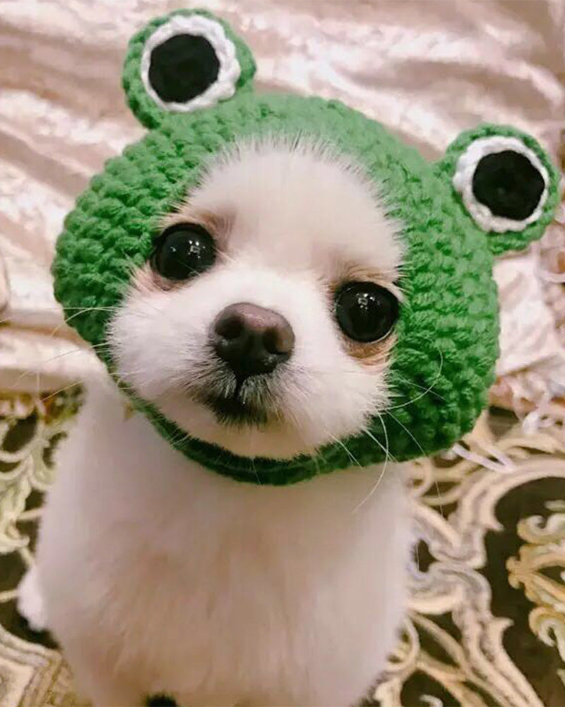 Knitted Pet Frog Hat 