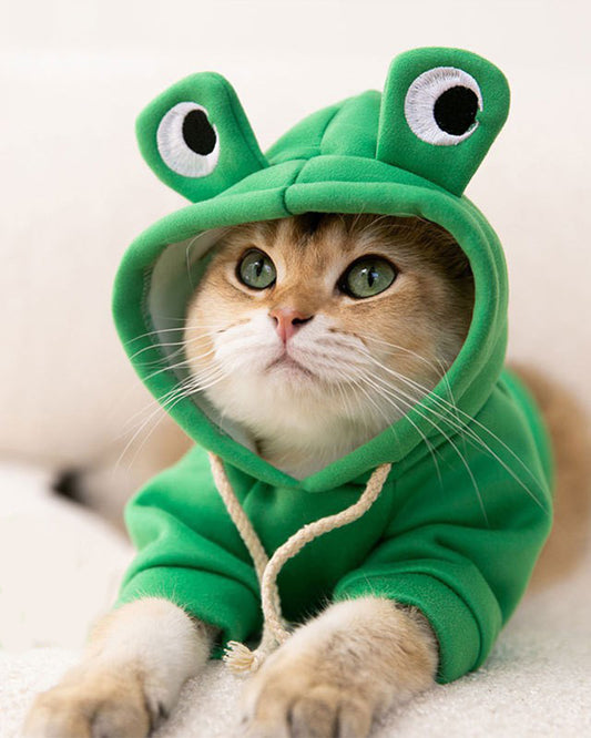 Cat Frog Hoodie 